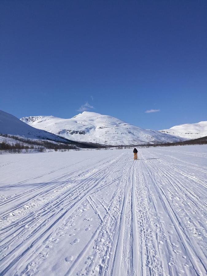 Вілла Lapphaugen Turiststasjon Tennevoll Екстер'єр фото