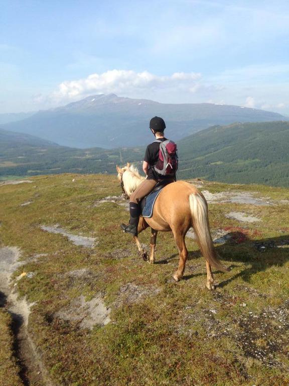 Вілла Lapphaugen Turiststasjon Tennevoll Екстер'єр фото